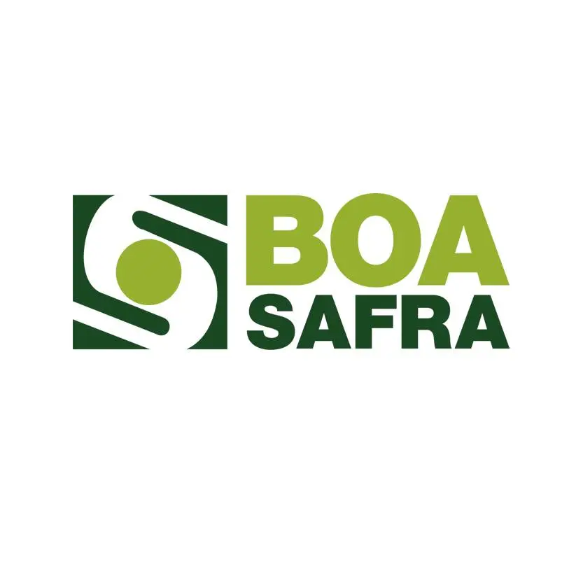 Logo Boa Safra Sementes