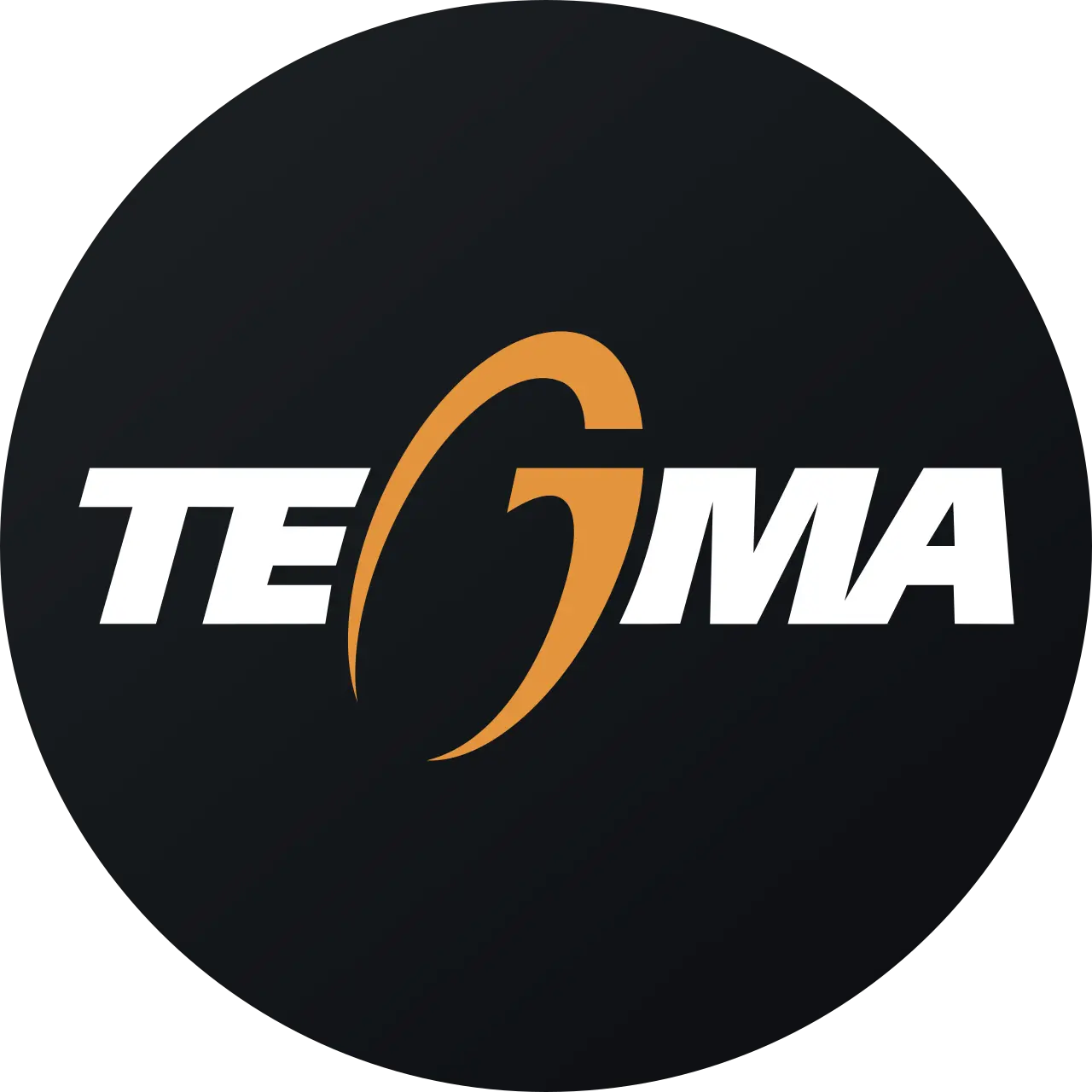 Logo Tegma Gestão Logística