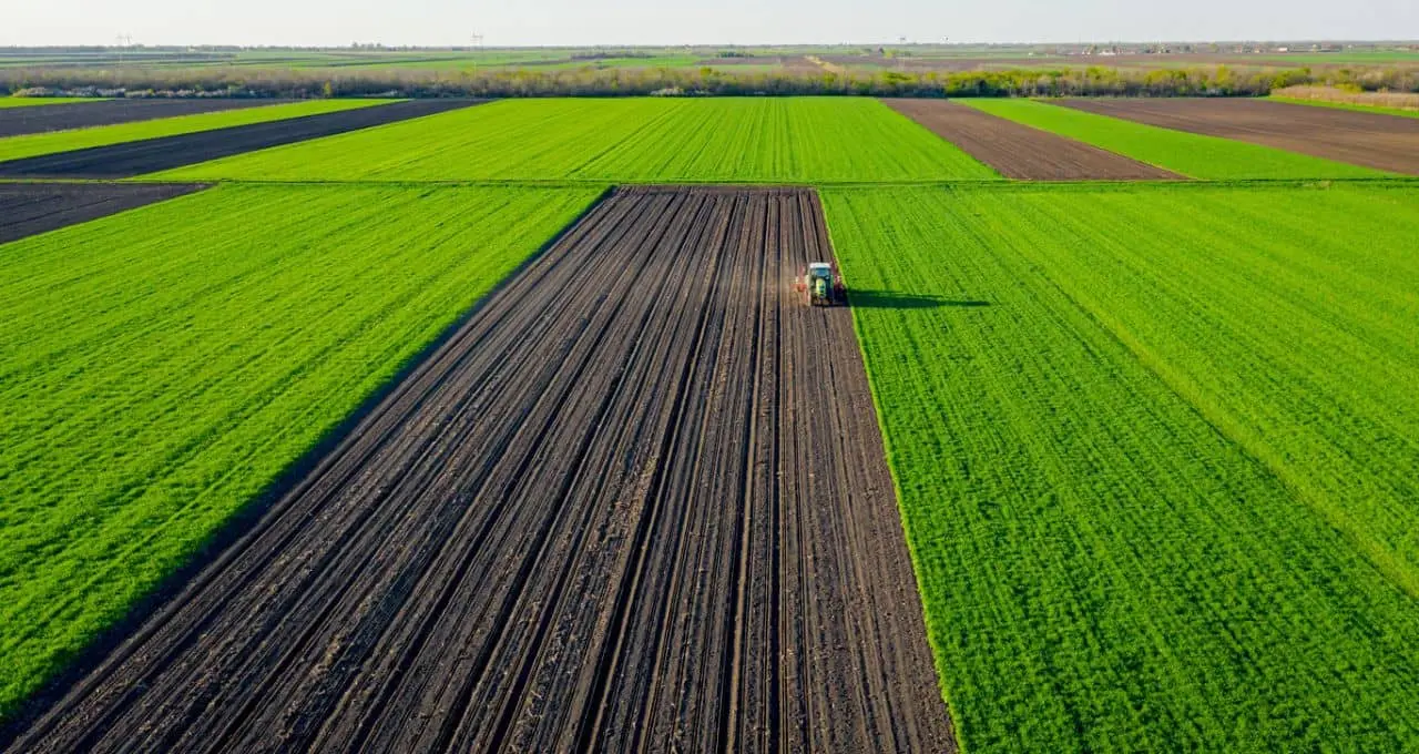 Kopernik Global Investors adquire 5,03% da companhia de propriedades agrícolas e reforça aposta no agronegócio brasileiro