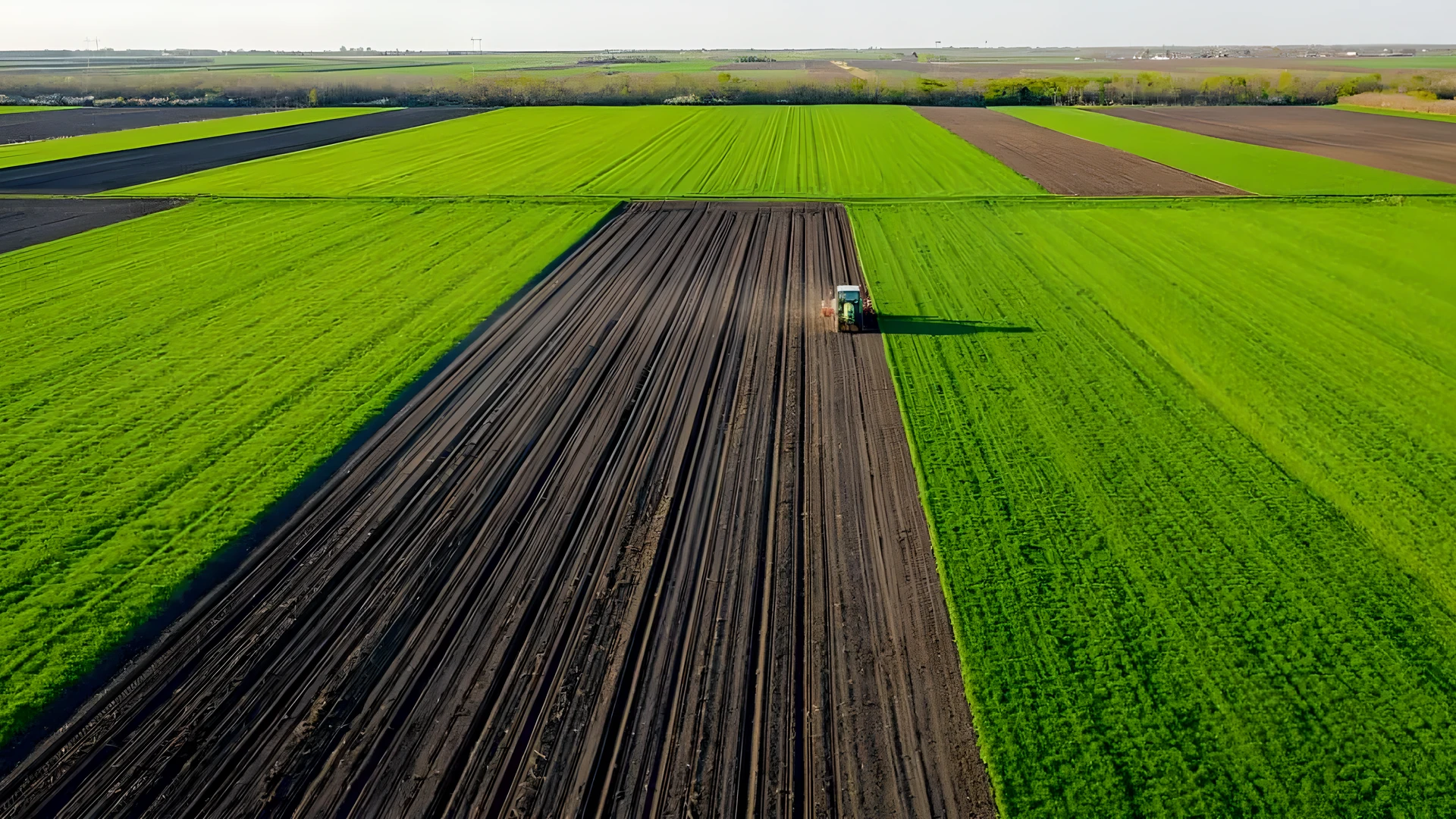 BrasilAgro (AGRO3) anuncia rescisão de venda da Fazenda Rio do Meio