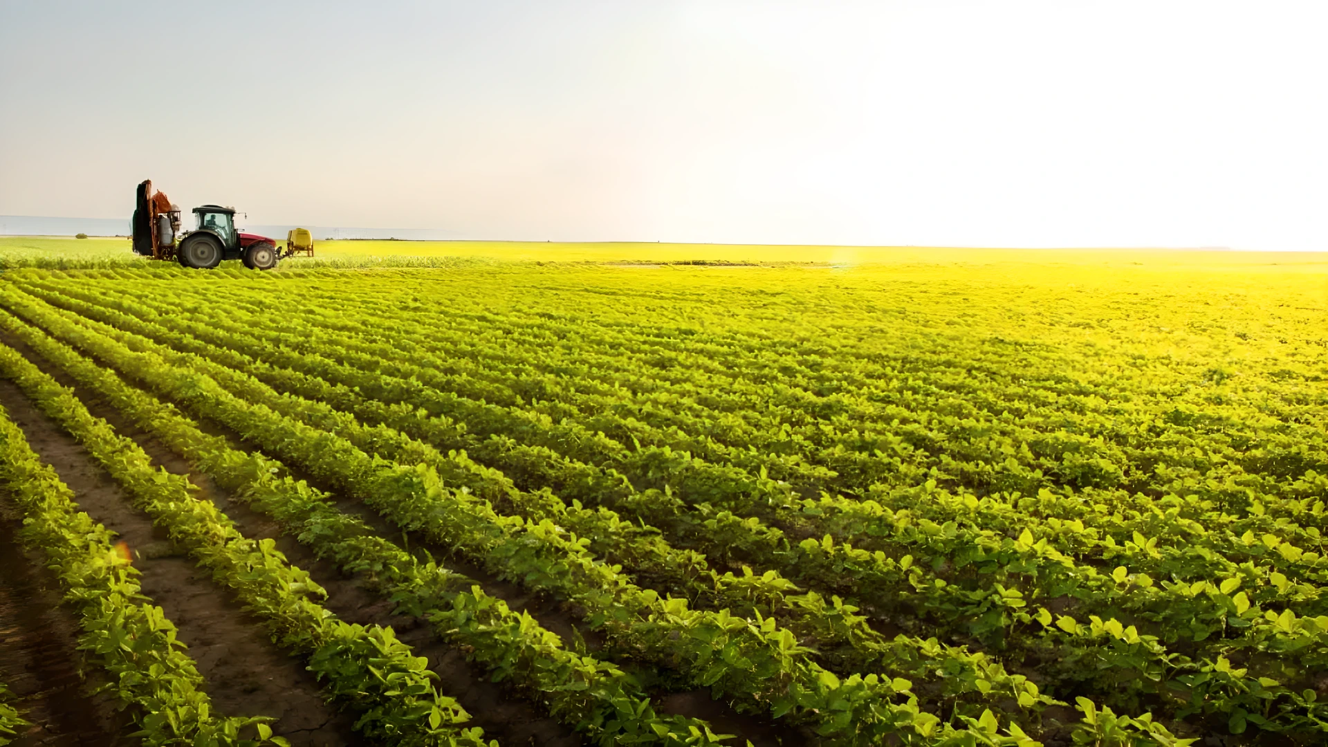 BrasilAgro (AGRO3) anuncia venda de área da Fazenda Morotí por US$ 1,5 mi