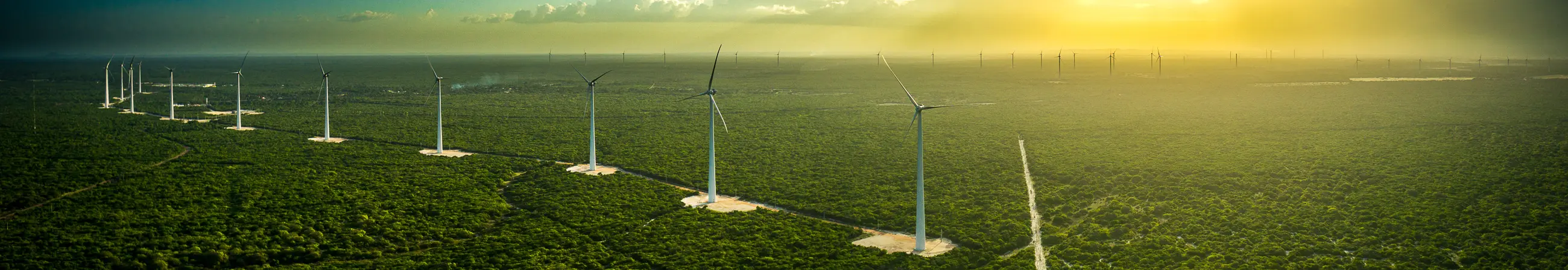 Receita e EBITDA avançam no trimestre; companhia distribuirá R$ 98.888.060,10, com R$ 0,10 por ação ON/PN e R$ 0,30 por Unit.