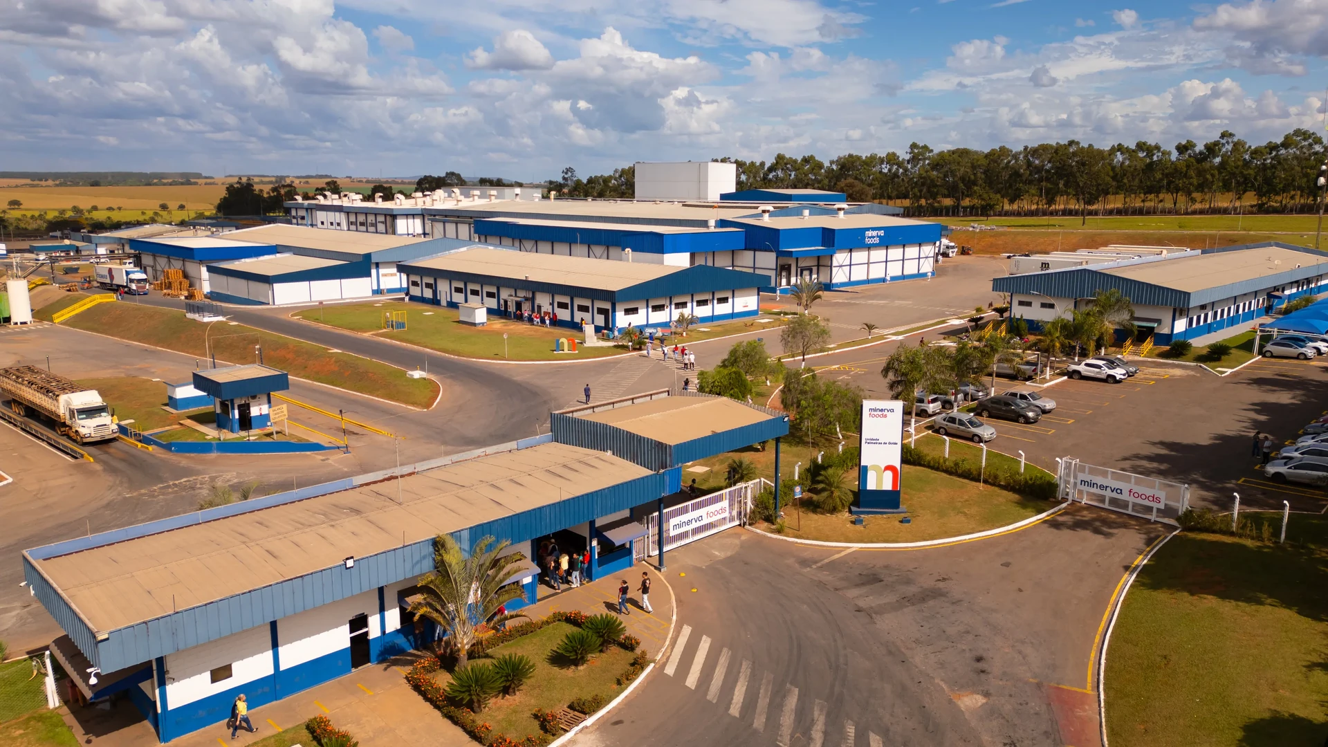 Minerva (BEEF3) conclui emissão de US$ 600 mi em bonds 2036