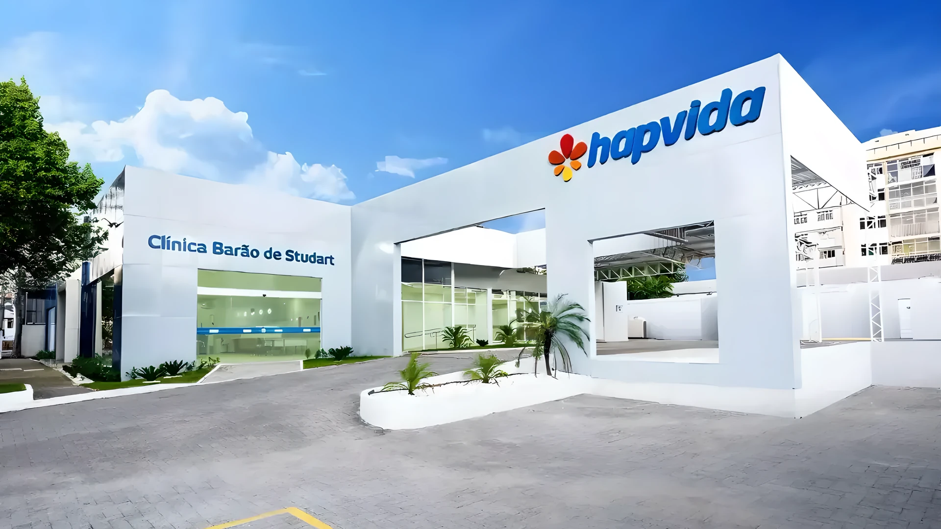 Controladores atingem 49% da Hapvida (HAPV3)