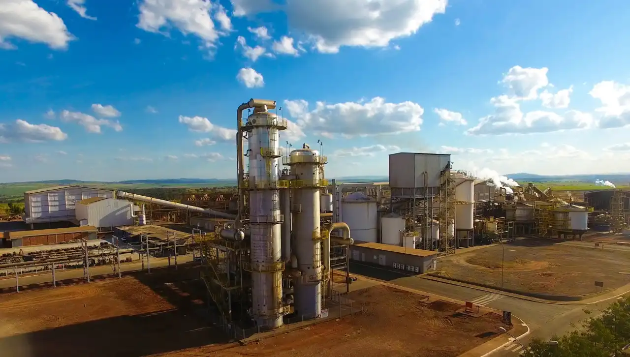 Companhia ajusta projeções após estiagem na safra 2024/25 e prevê reclassificar 15 a 20 mil t de açúcar orgânico para cristal no mercado interno.