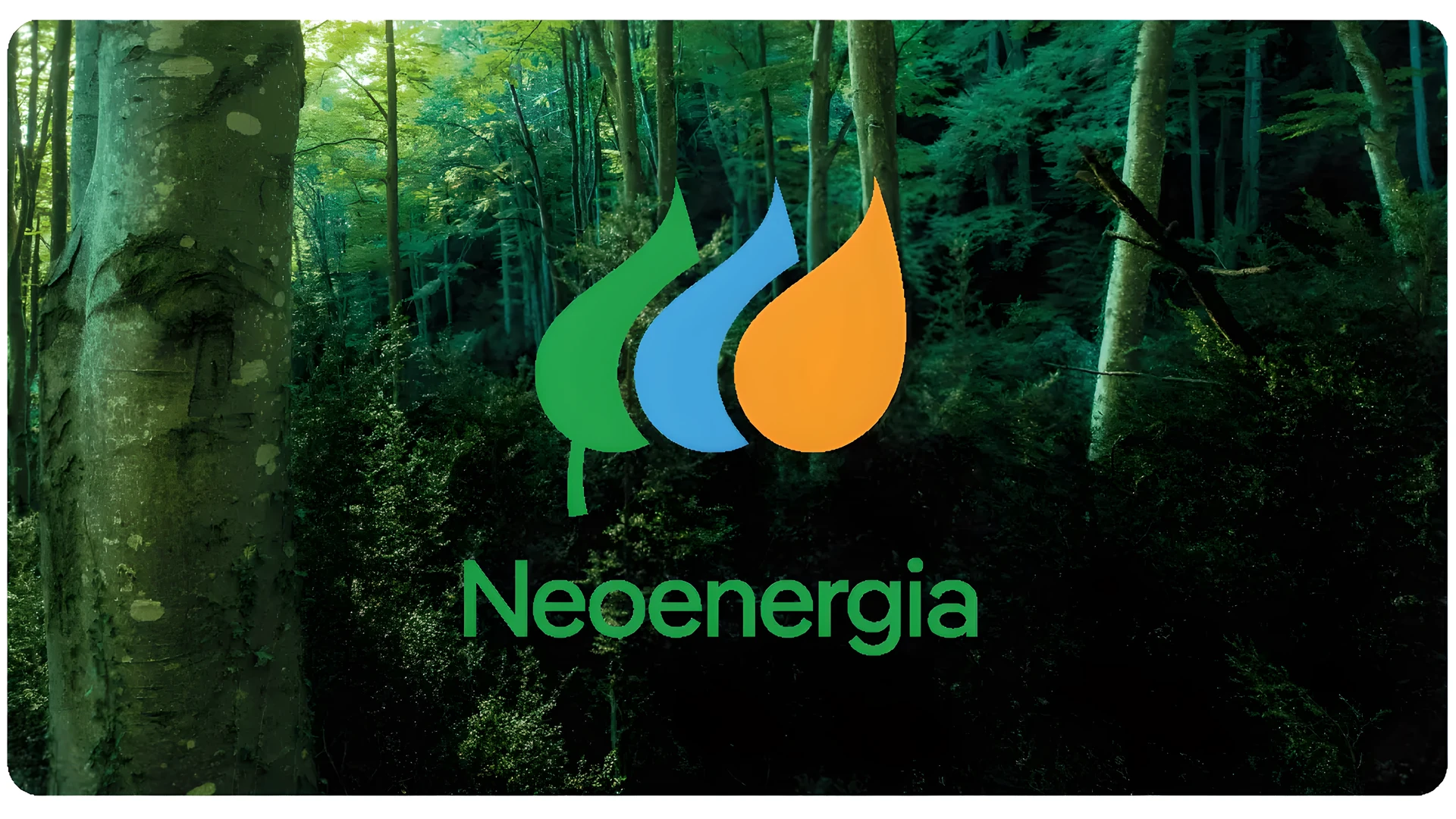 Neoenergia (NEOE3) conclui OPA privada a R$ 32,37 por ação