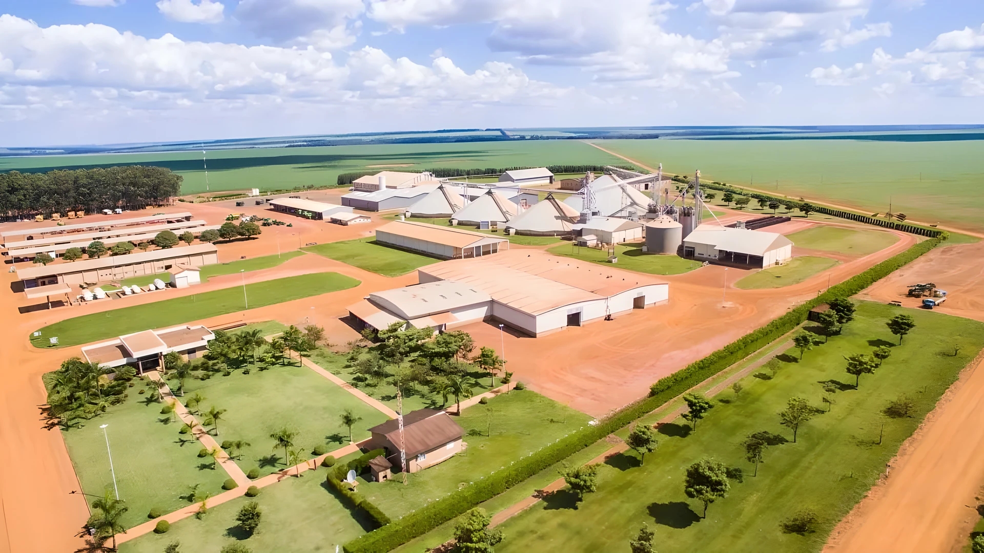 SLC Agrícola (SLCE3) anuncia área plantada de 830 mil ha para 2025/26 ...
