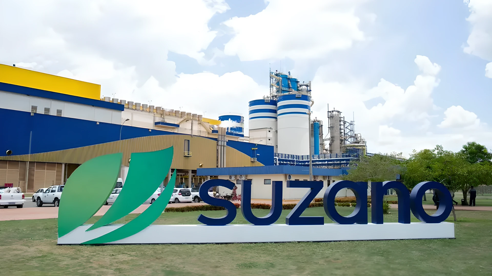 Suzano (SUZB3) aprova dividendos de R$ 0,00455231 por ação